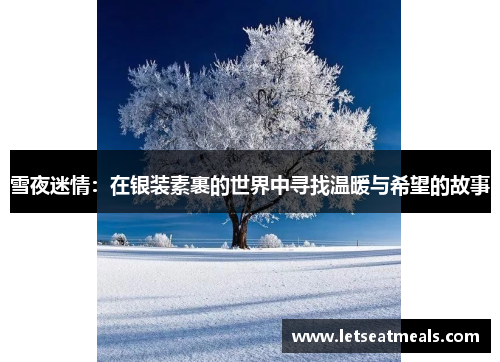 雪夜迷情：在银装素裹的世界中寻找温暖与希望的故事